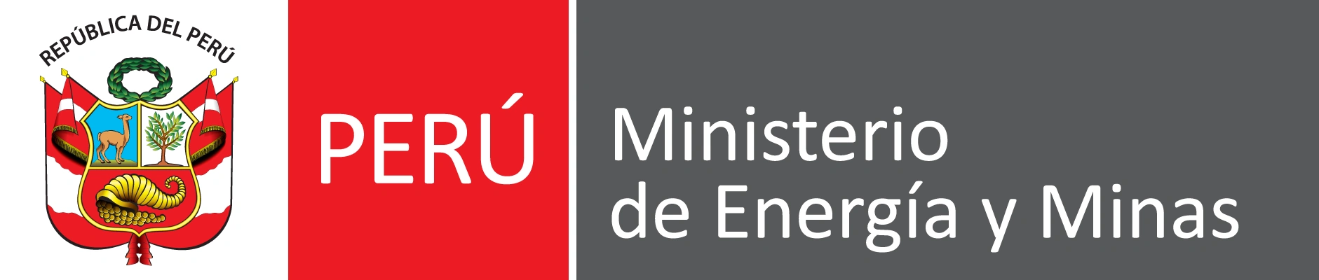 Socio Estratégico 6